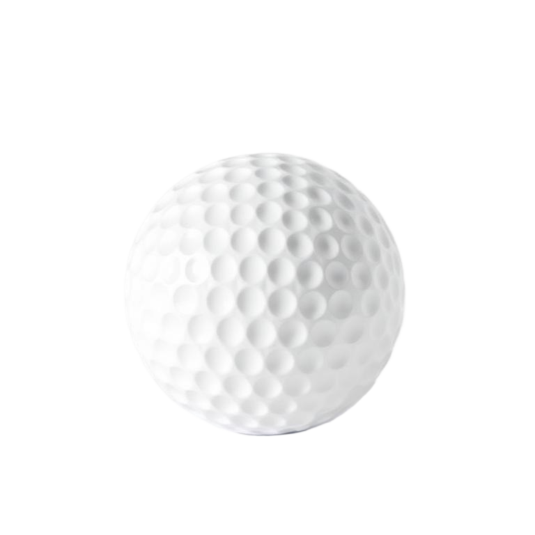 Titleist Pro V1